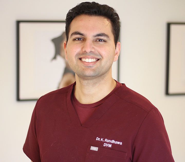 Dr. Karanjit Randhawa