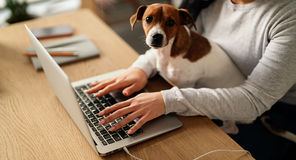 pet lifestyle together with owner