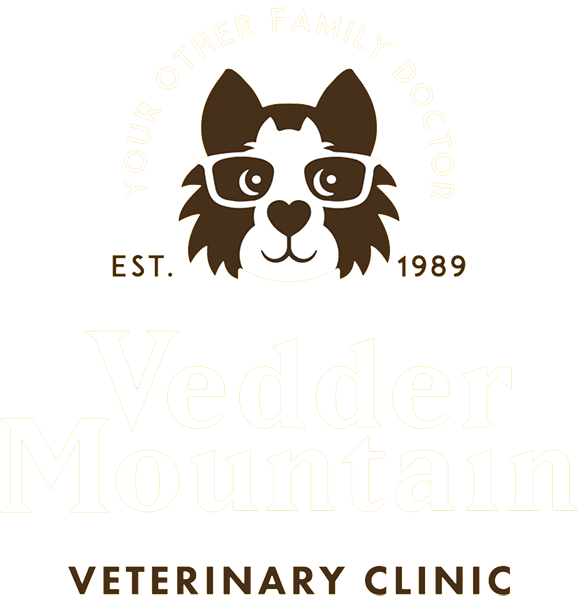  Vedder Mountain Veterinary Clinic