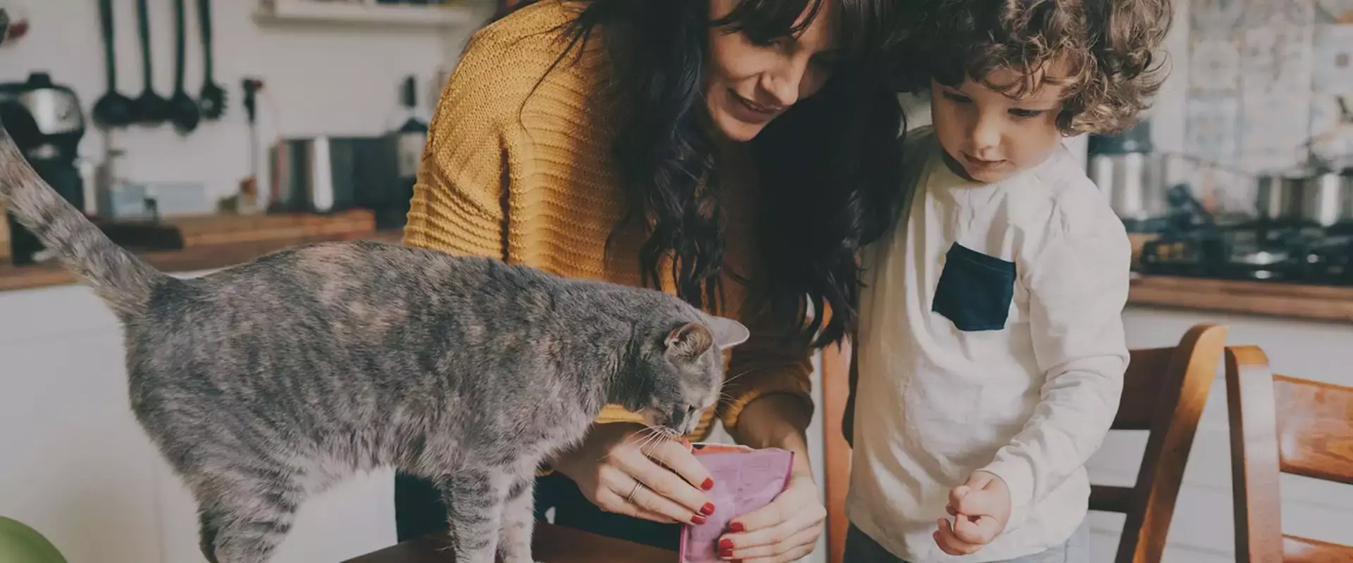 Mother and son feeding their pet cat